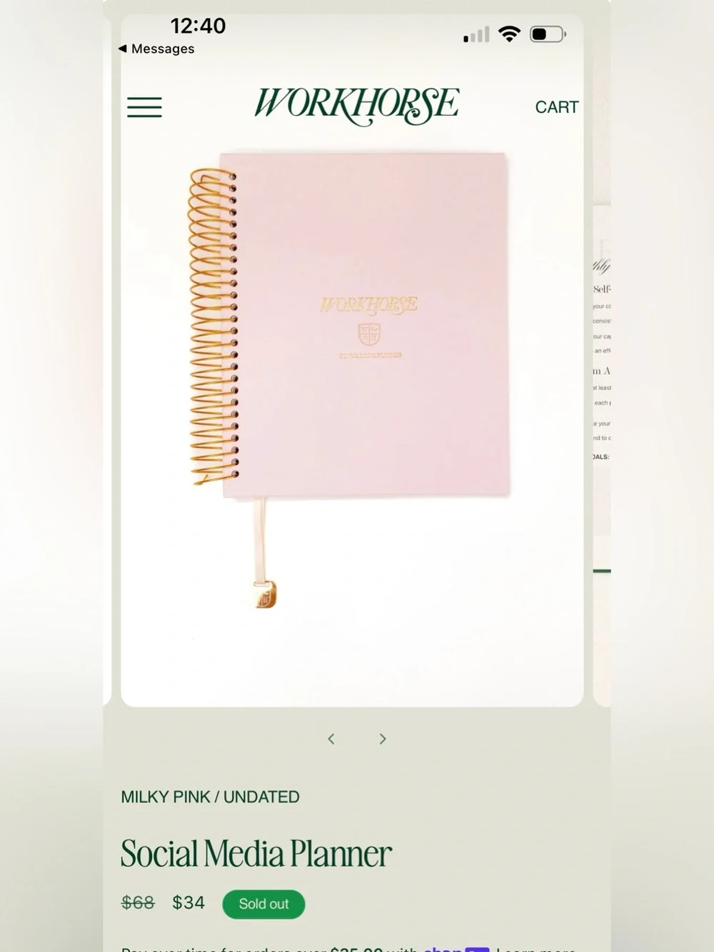 NWT WORKHORSE LIMITED EDITION MILKY PINK Social Media PLANNER Undated